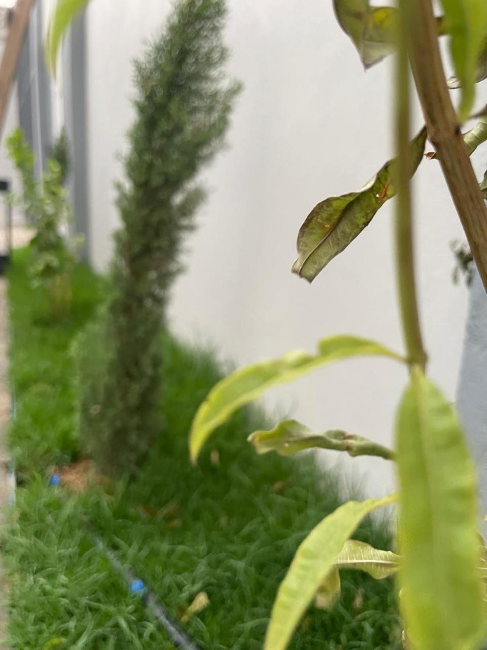 Aparthotel Garden Land Chamis Muschait Exterior foto